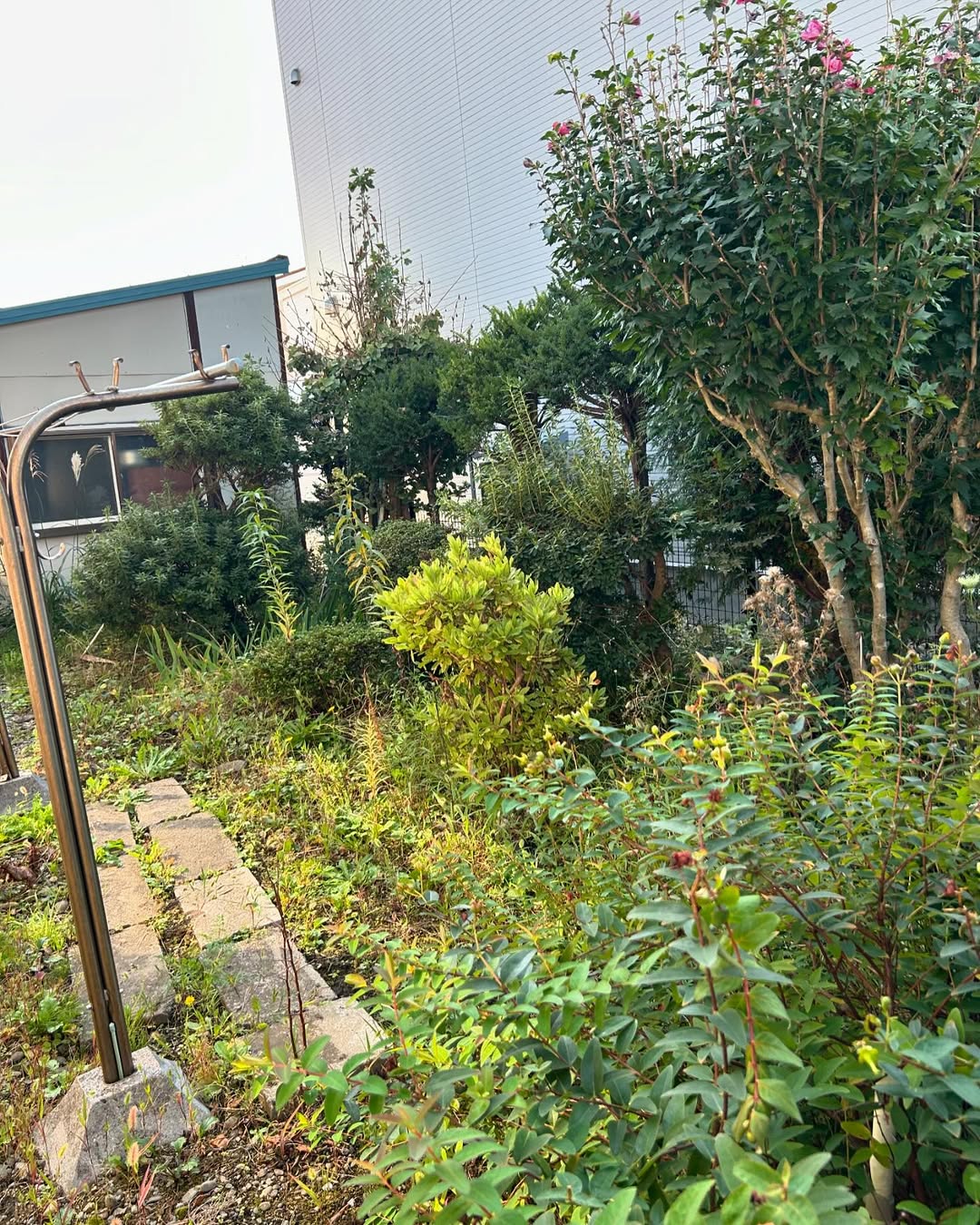 Instagram投稿1