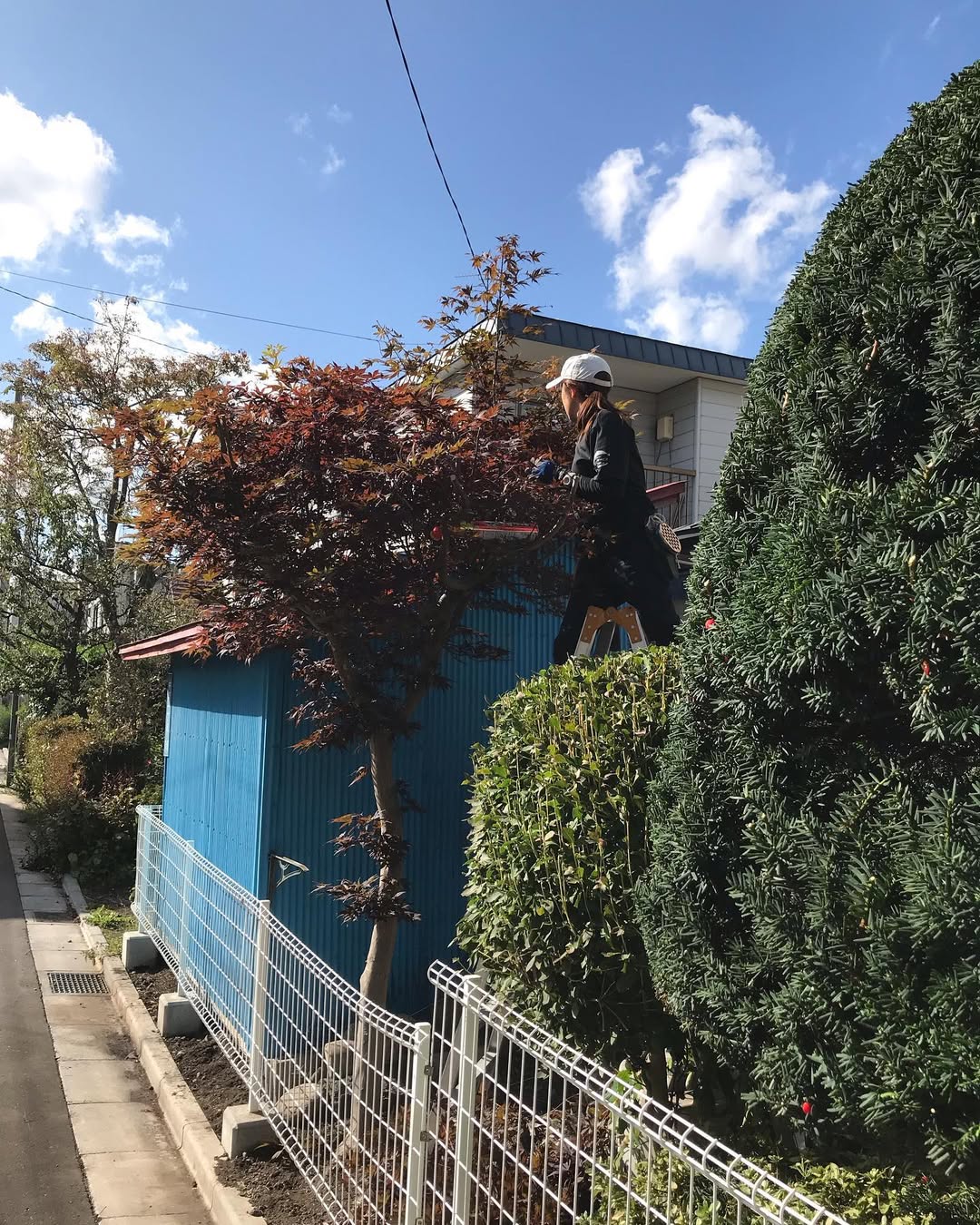 草刈り・剪定
